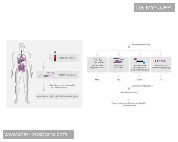 武汉排球队总决赛技术分析：展现实力与团队协作的完美结合实时数据